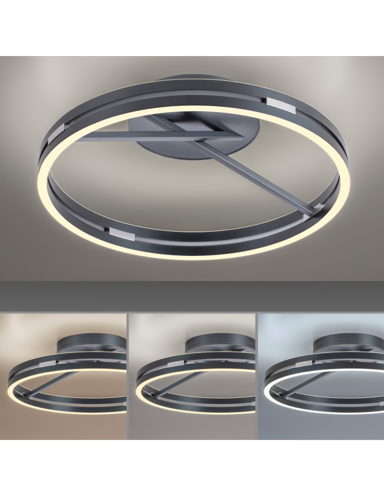 Paul Neuhaus Pure Loop Lampa Sufitowa Szary 6552-15