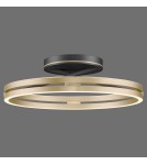 Paul Neuhaus Pure Loop Lampa Sufitowa Czarny/Matowy Mosiądz 6552-68