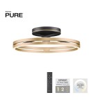 Paul Neuhaus Pure Loop Lampa Sufitowa Czarny/Matowy Mosiądz 6552-68
