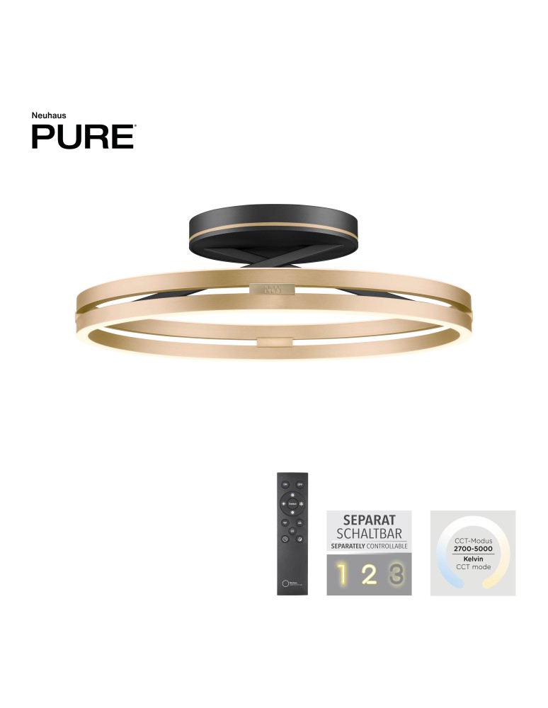 Paul Neuhaus Pure Loop Lampa Sufitowa Czarny/Matowy Mosiądz 6552-68