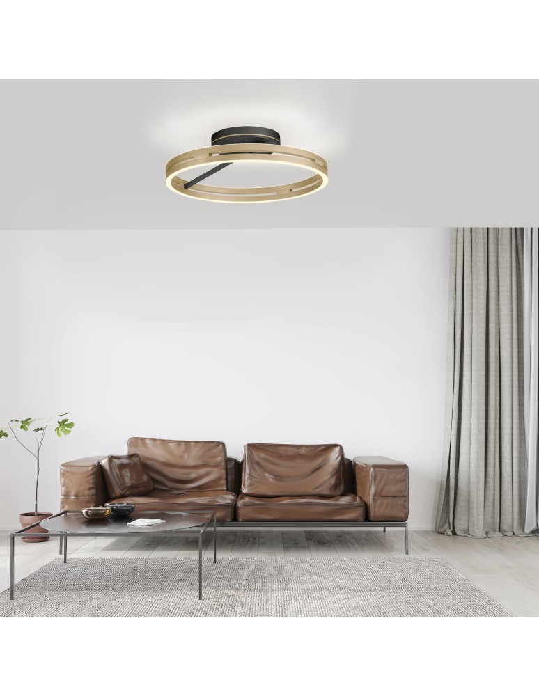 Paul Neuhaus Pure Loop Lampa Sufitowa Czarny/Matowy Mosiądz 6552-68