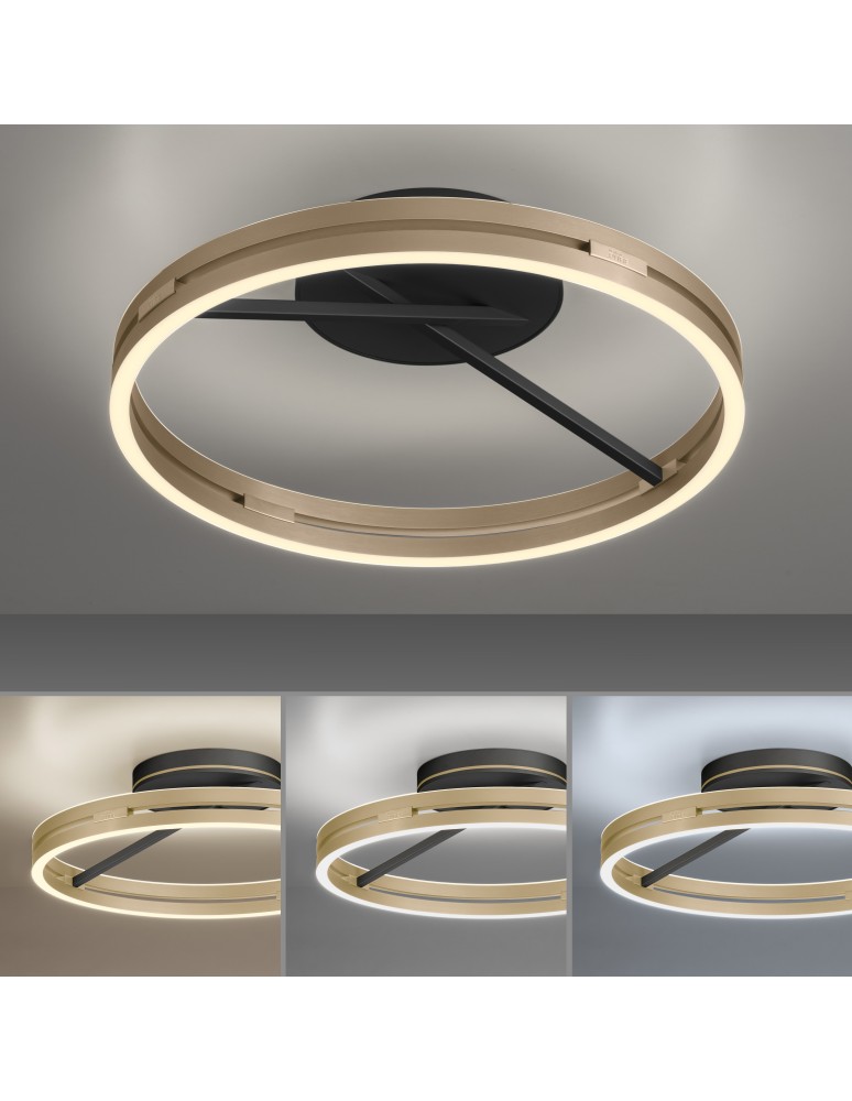 Paul Neuhaus Pure Loop Lampa Sufitowa Czarny/Matowy Mosiądz 6552-68