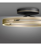Paul Neuhaus Pure Loop Lampa Sufitowa Czarny/Matowy Mosiądz 6552-68