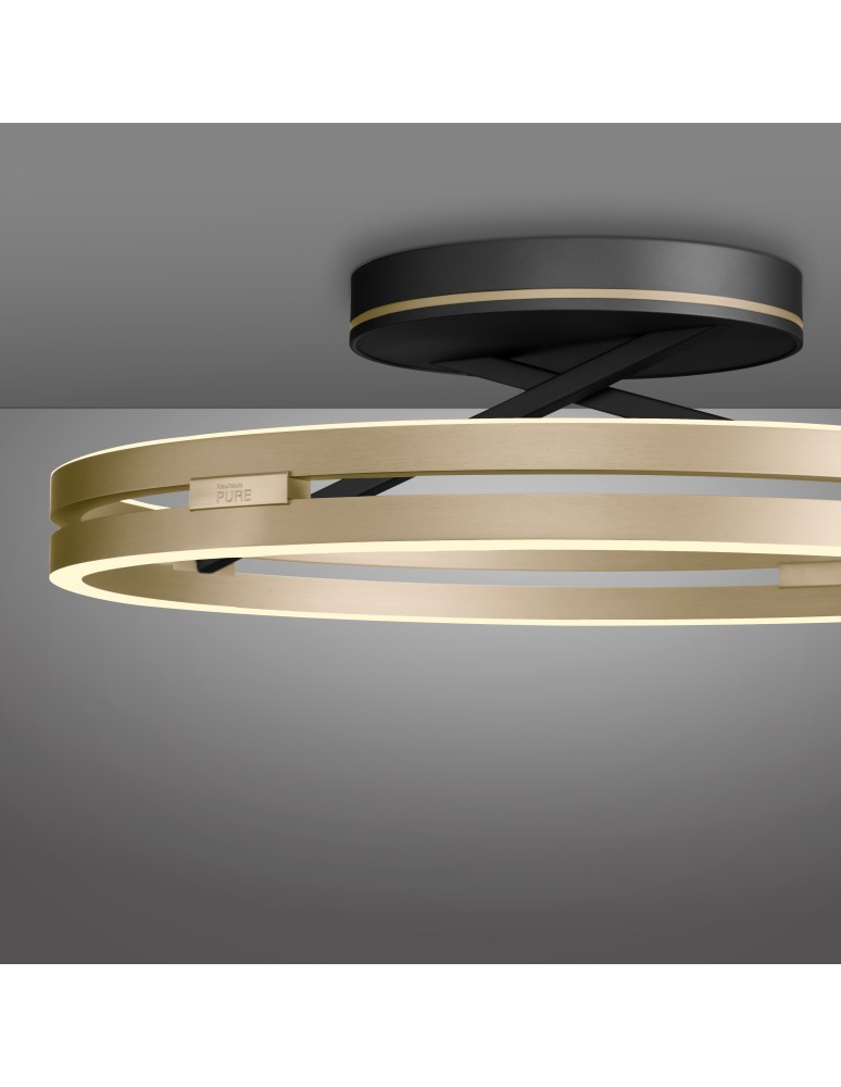 Paul Neuhaus Pure Loop Lampa Sufitowa Czarny/Matowy Mosiądz 6552-68