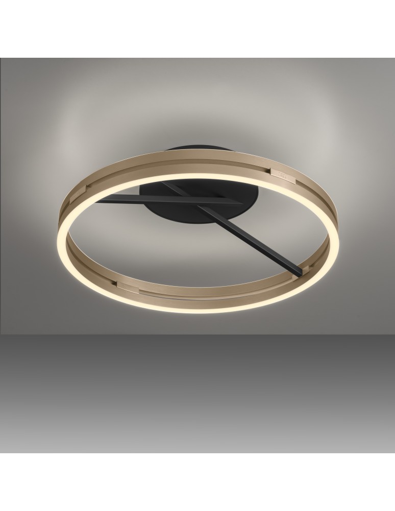 Paul Neuhaus Pure Loop Lampa Sufitowa Czarny/Matowy Mosiądz 6552-68