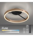 Paul Neuhaus Pure Loop Lampa Sufitowa Czarny/Matowy Mosiądz 6552-68