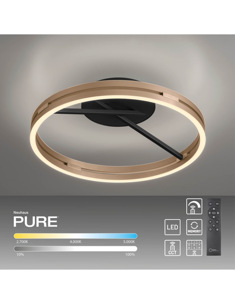 Paul Neuhaus Pure Loop Lampa Sufitowa Czarny/Matowy Mosiądz 6552-68