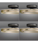 Paul Neuhaus Pure Loop Lampa Sufitowa Czarny/Matowy Mosiądz 6552-68