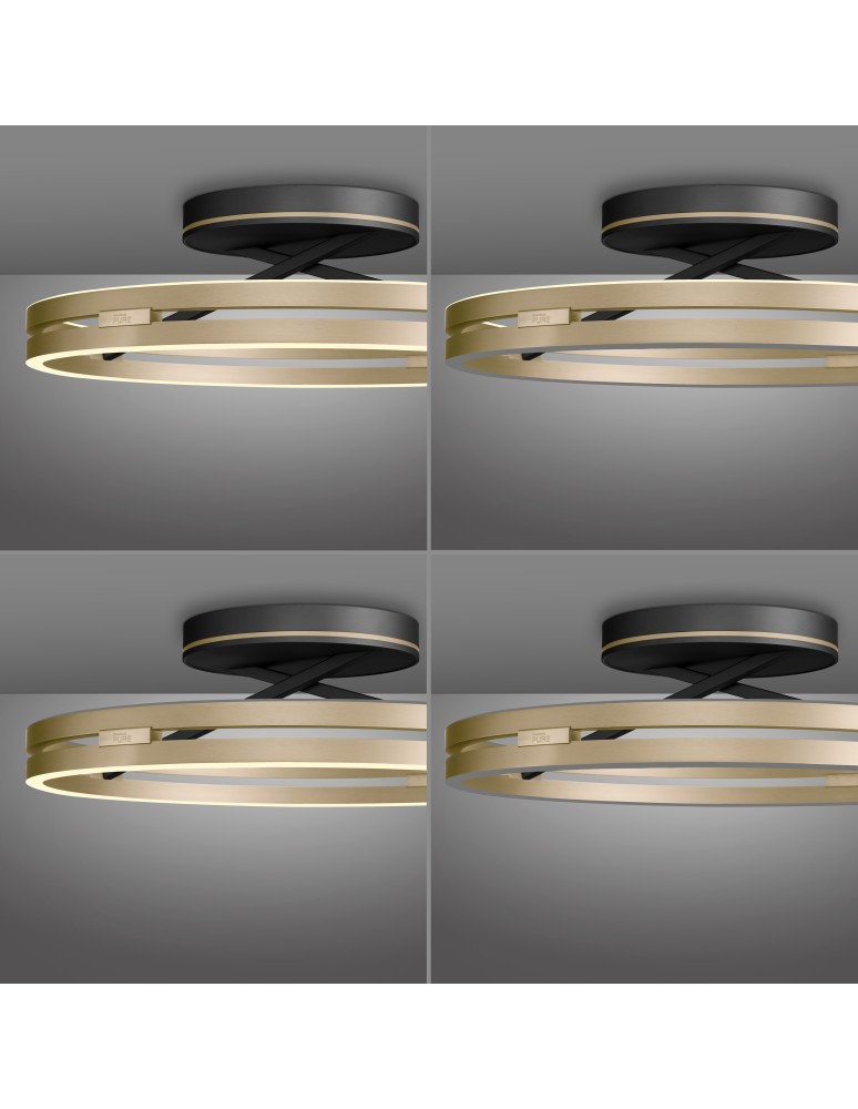 Paul Neuhaus Pure Loop Lampa Sufitowa Czarny/Matowy Mosiądz 6552-68