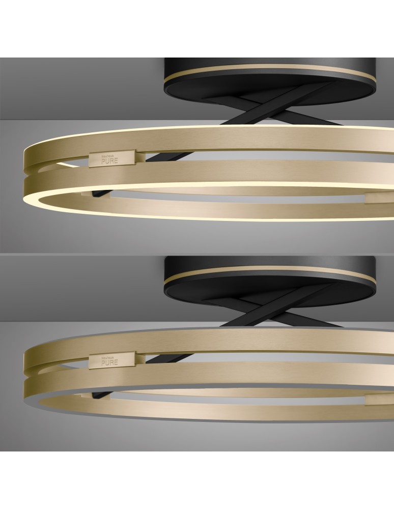 Paul Neuhaus Pure Loop Lampa Sufitowa Czarny/Matowy Mosiądz 6552-68