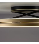Paul Neuhaus Pure Loop Lampa Sufitowa Czarny/Matowy Mosiądz 6552-68