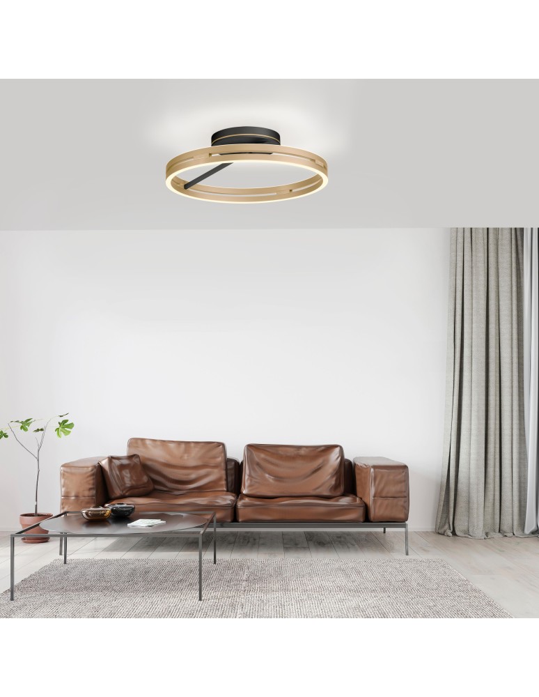 Paul Neuhaus Pure Loop Lampa Sufitowa Czarny/Matowy Mosiądz 6552-68