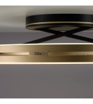 Paul Neuhaus Pure Loop Lampa Sufitowa Czarny/Matowy Mosiądz 6552-68