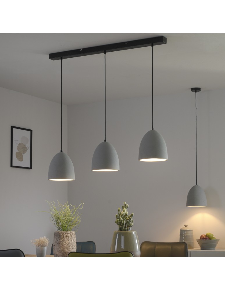 Paul Neuhaus Eton Lampa Wisząca Szary/Czarny 2231-22