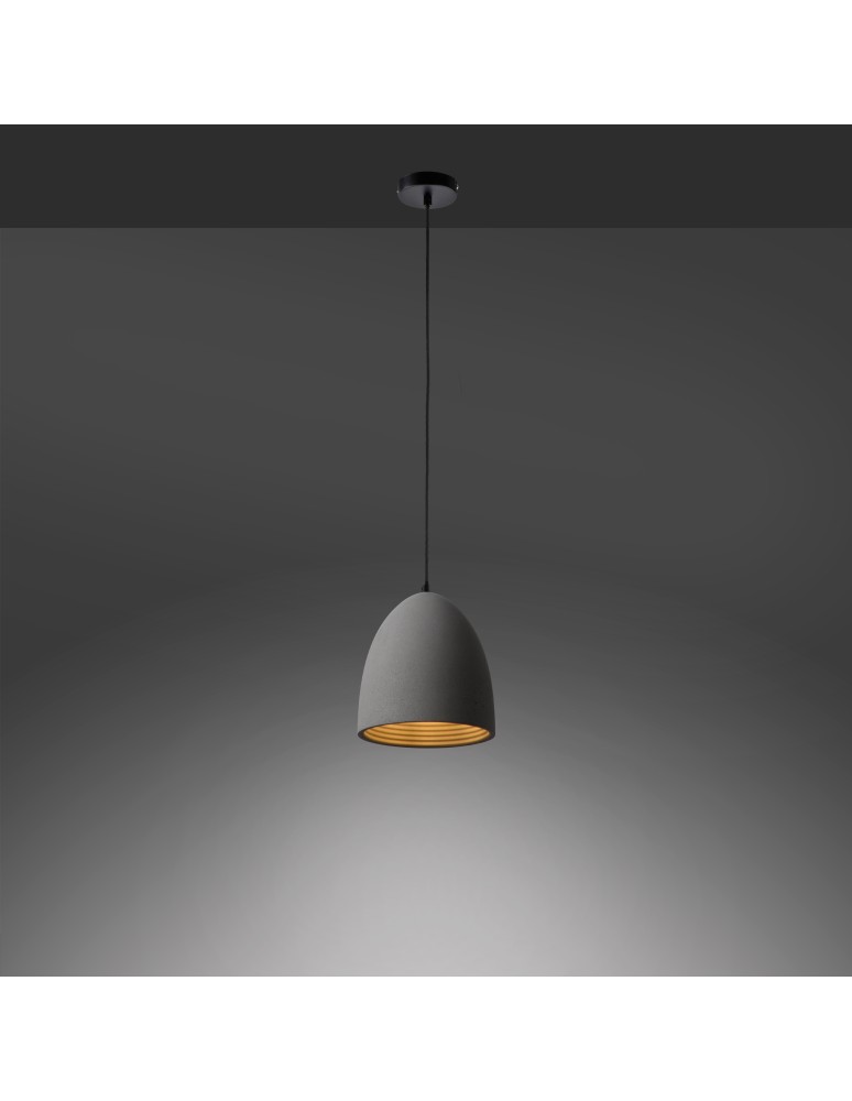 Paul Neuhaus Eton Lampa Wisząca Szary/Czarny 2231-22