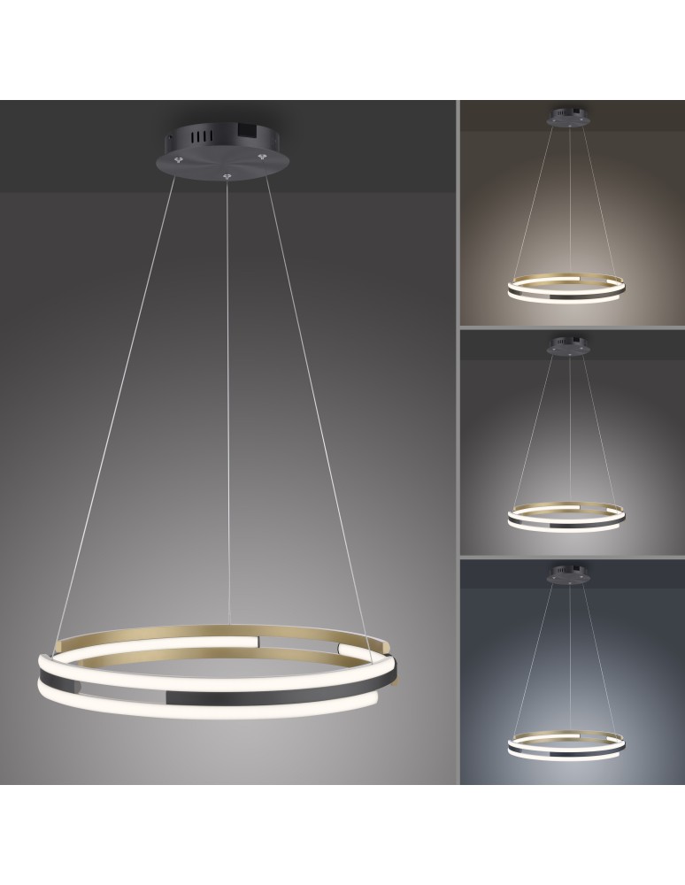 Paul Neuhaus Q-Beluga Lampa Wisząca Matowy Mosiądz 2051-60