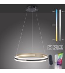 Paul Neuhaus Q-Beluga Lampa Wisząca Matowy Mosiądz 2051-60