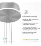 Paul Neuhaus Q-Etienne Lampa Wisząca Stalowy 2075-55