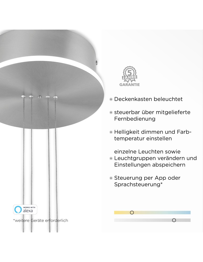 Paul Neuhaus Q-Etienne Lampa Wisząca Stalowy 2075-55