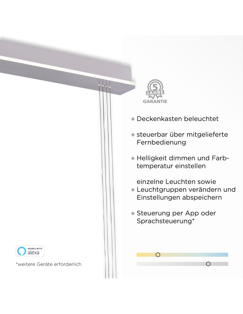 Paul Neuhaus Q-Etienne Lampa Wisząca Stalowy 2076-55