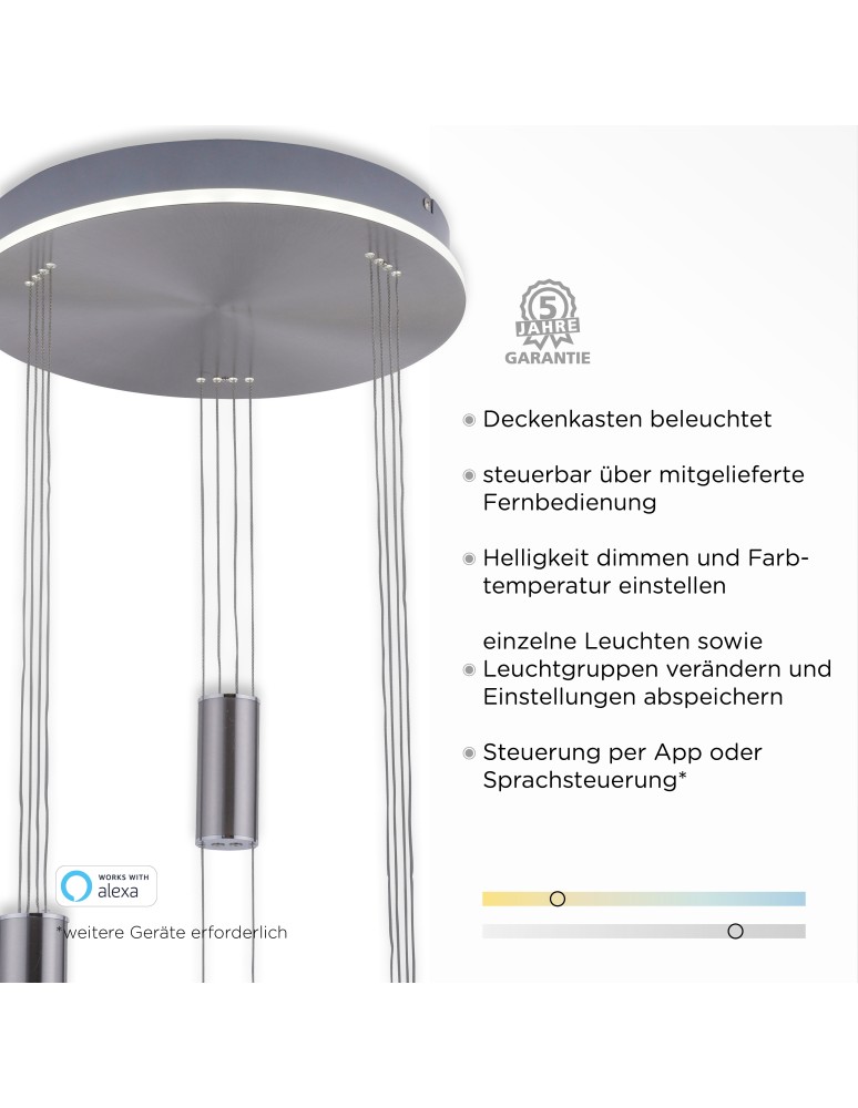 Paul Neuhaus Q-Etienne Lampa Wisząca Stalowy 2078-55