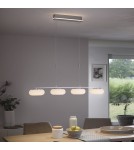 Paul Neuhaus Q-Etienne Lampa Wisząca Stalowy 2079-55
