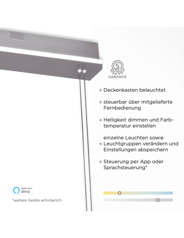 Paul Neuhaus Q-Etienne Lampa Wisząca Stalowy 2079-55