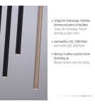 Paul Neuhaus Flute Lampa Wisząca Matowy Mosiądz/Czarny 2110-18
