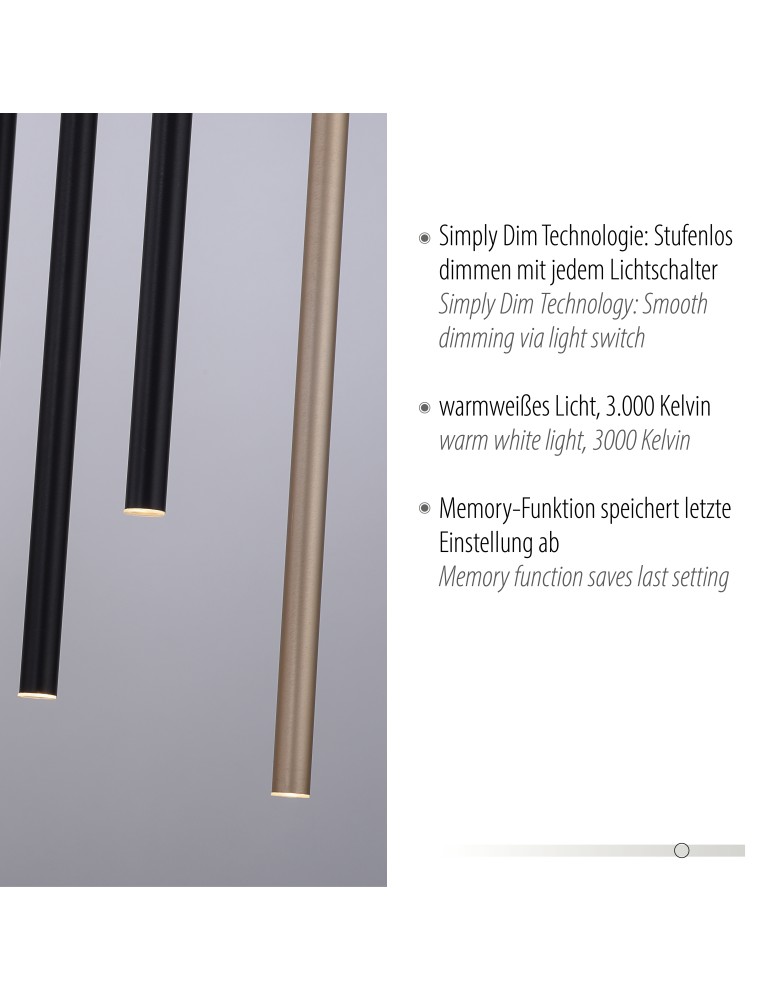 Paul Neuhaus Flute Lampa Wisząca Matowy Mosiądz/Czarny 2110-18