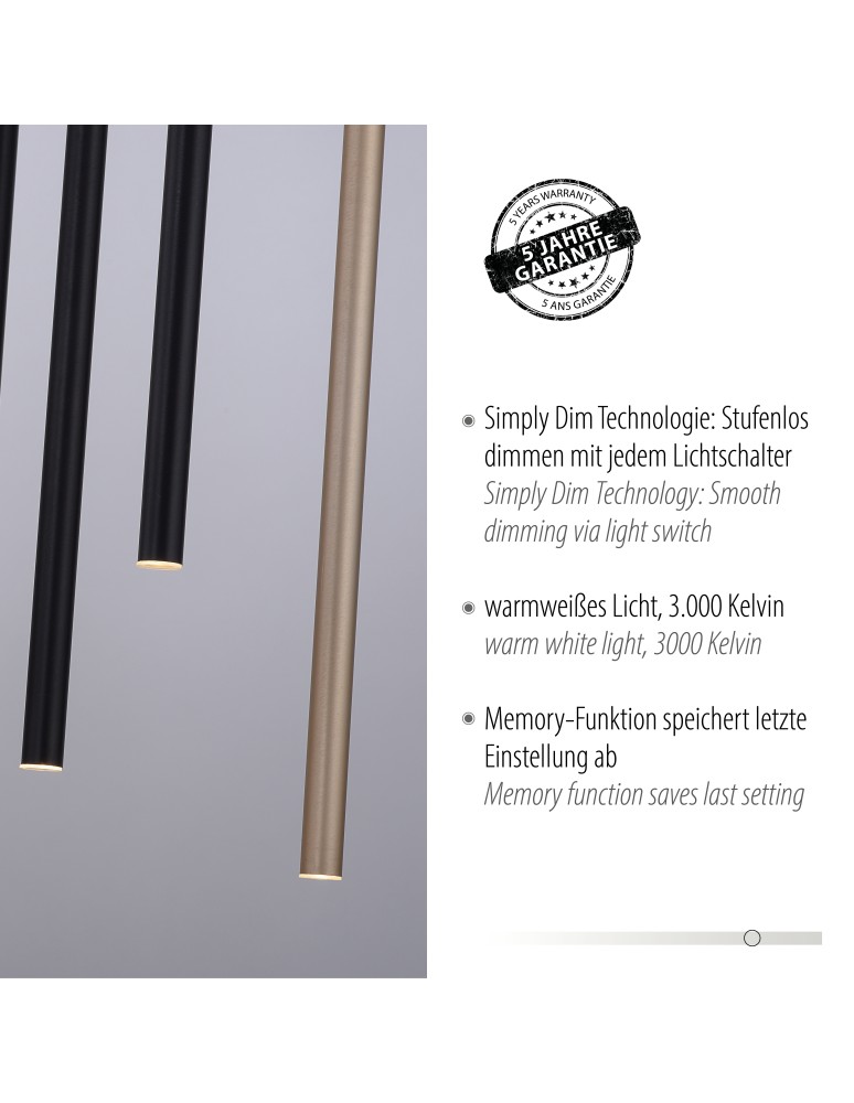 Paul Neuhaus Flute Lampa Wisząca Matowy Mosiądz/Czarny 2110-18