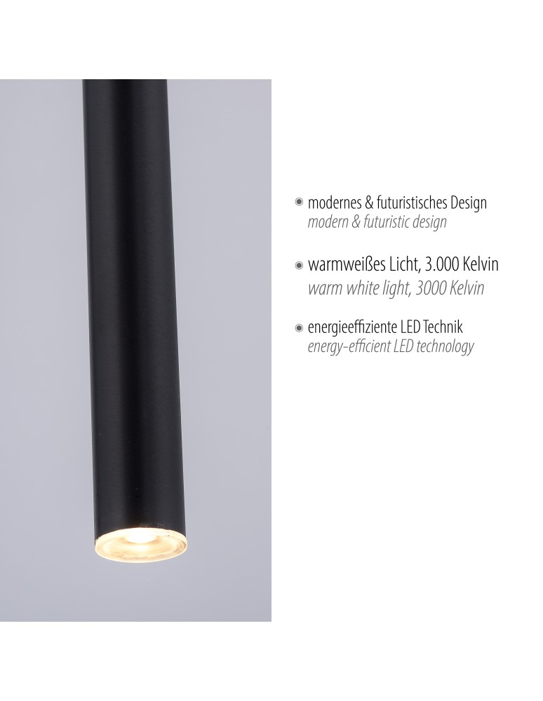 Paul Neuhaus Flute Lampa Wisząca Czarny 2111-18