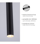 Paul Neuhaus Flute Lampa Wisząca Czarny 2111-18
