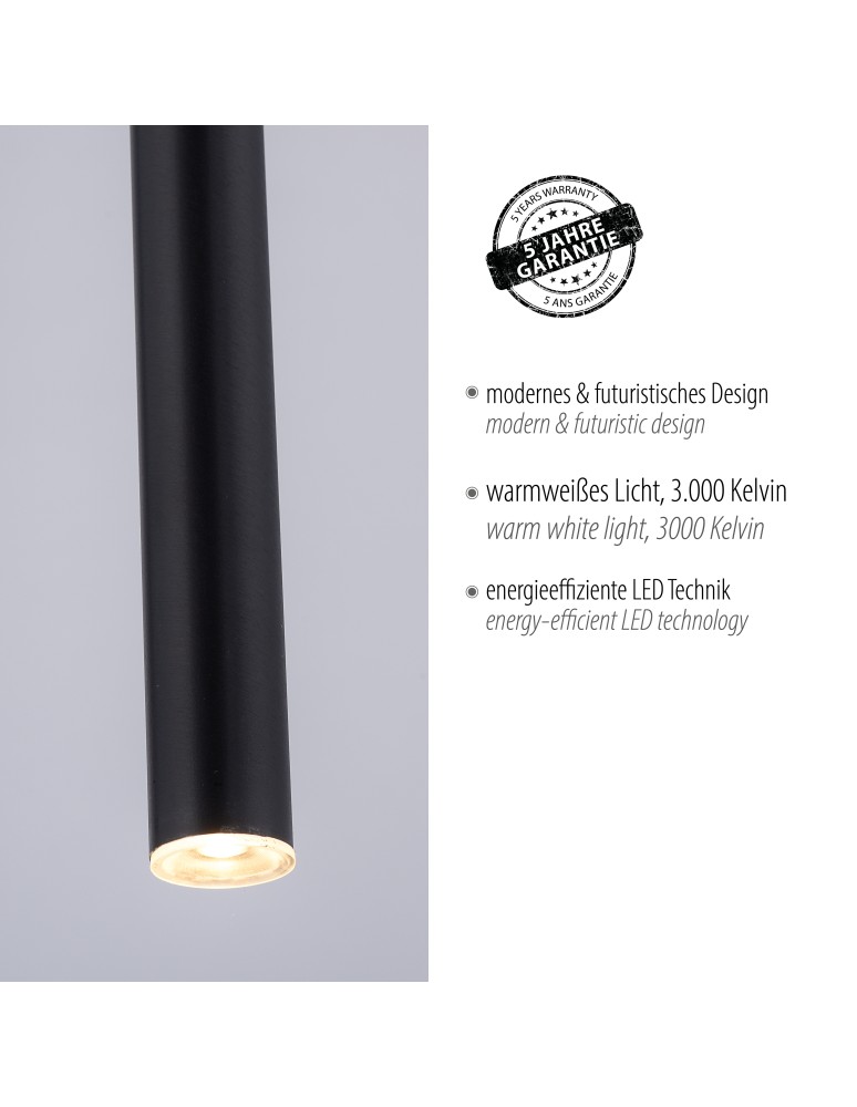 Paul Neuhaus Flute Lampa Wisząca Czarny 2111-18