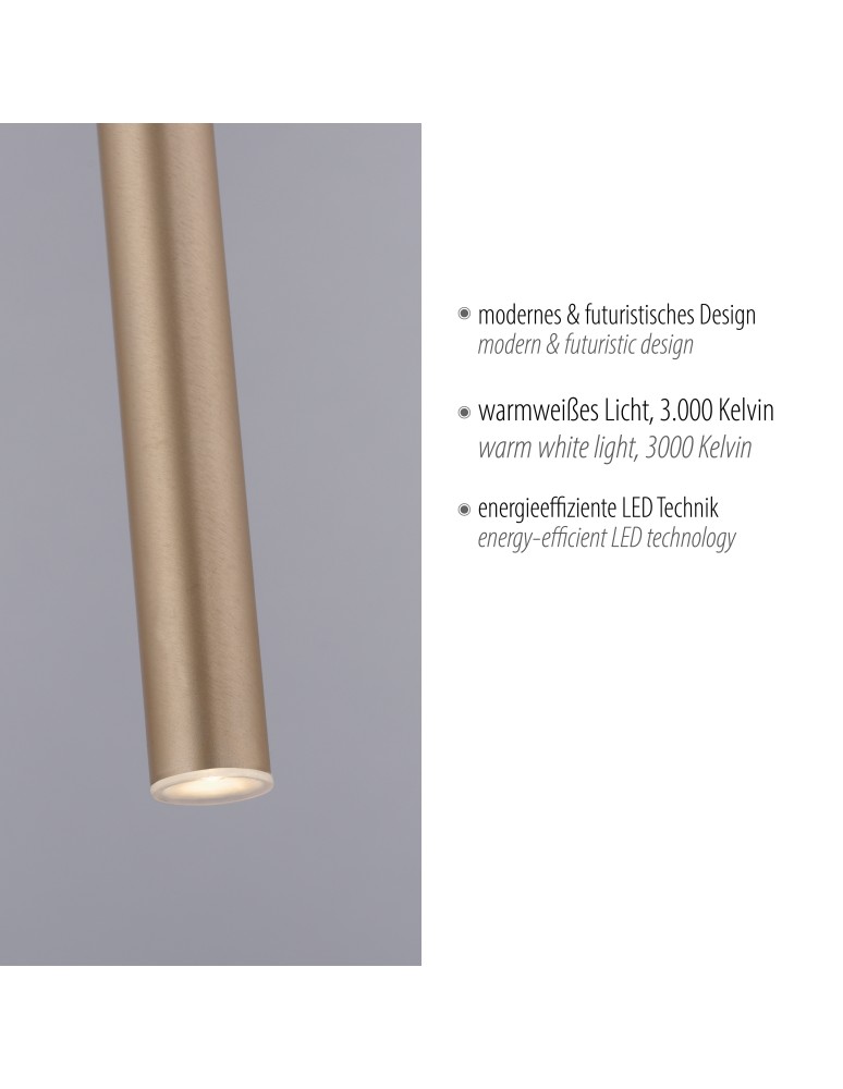 Paul Neuhaus Flute Lampa Wisząca Matowy Mosiądz 2111-60