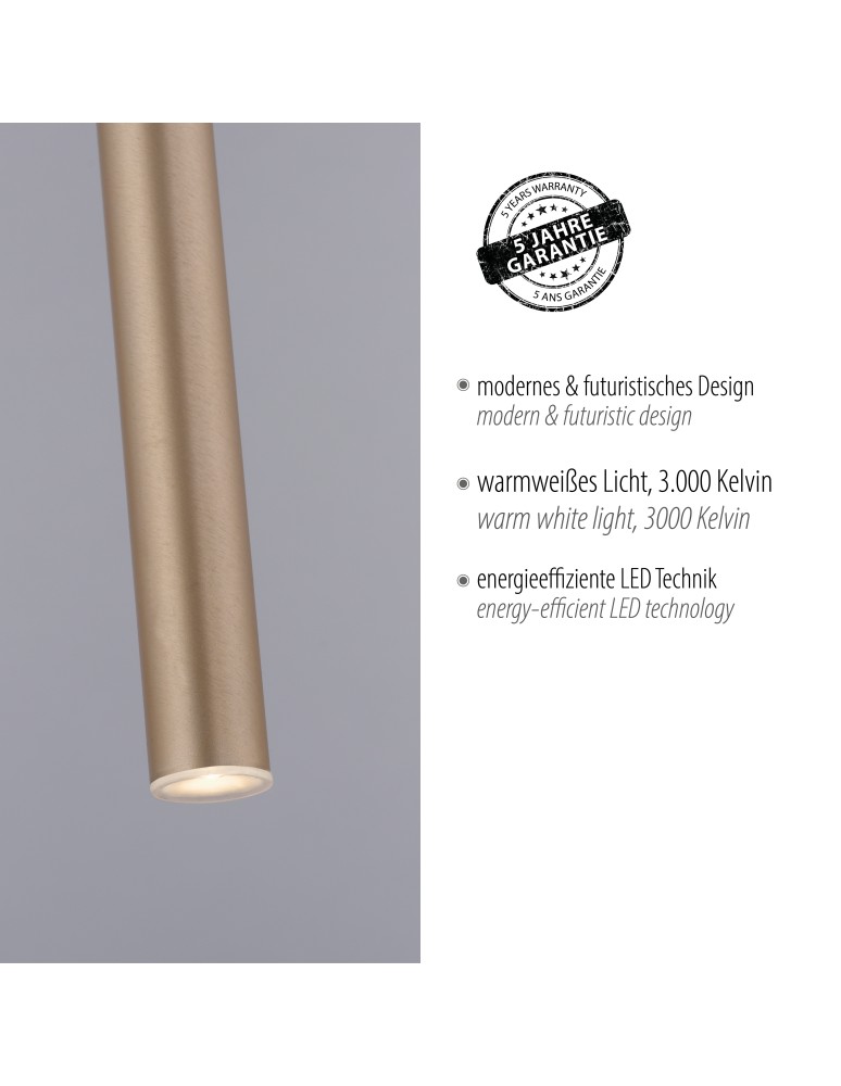 Paul Neuhaus Flute Lampa Wisząca Matowy Mosiądz 2111-60