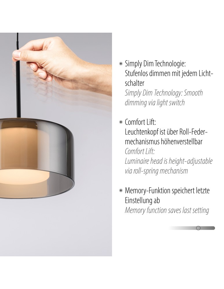 Paul Neuhaus Rika Lampa Wisząca Czarny/Smoky 2112-18