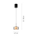 Paul Neuhaus Rika Lampa Wisząca Czarny/Smoky 2112-18