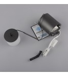Paul Neuhaus Rika Lampa Wisząca Czarny/Smoky 2112-18