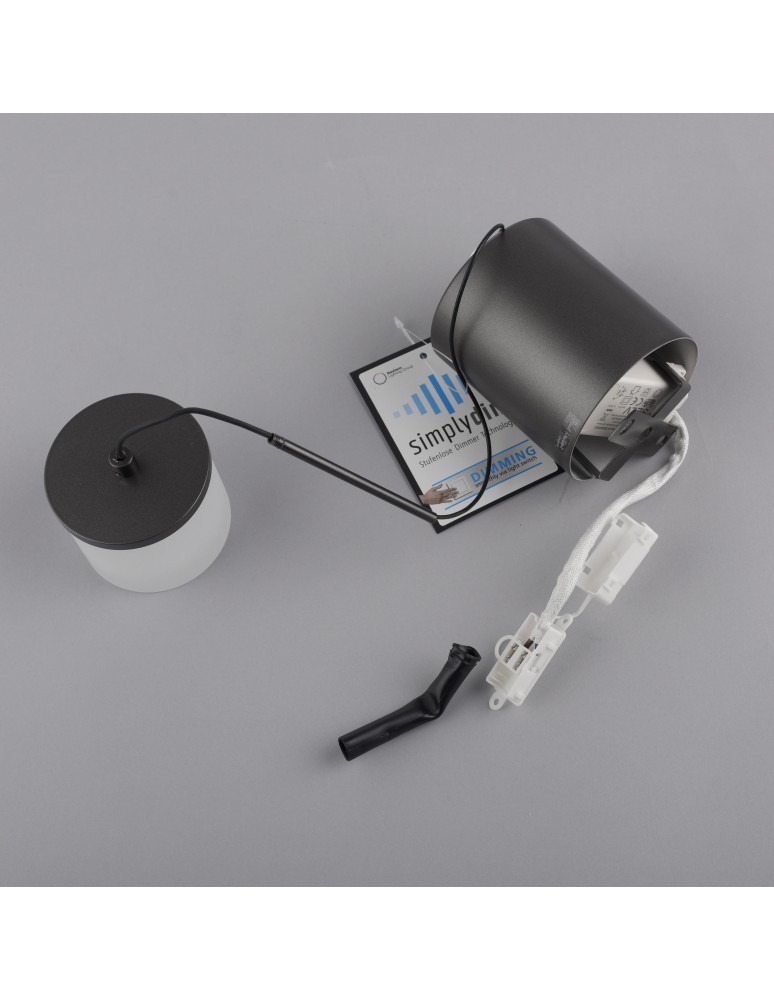 Paul Neuhaus Rika Lampa Wisząca Czarny/Smoky 2112-18