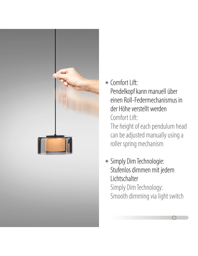 Paul Neuhaus Rika Lampa Wisząca Czarny/Smoky 2113-18