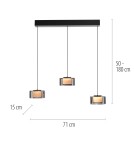 Paul Neuhaus Rika Lampa Wisząca Czarny/Smoky 2113-18