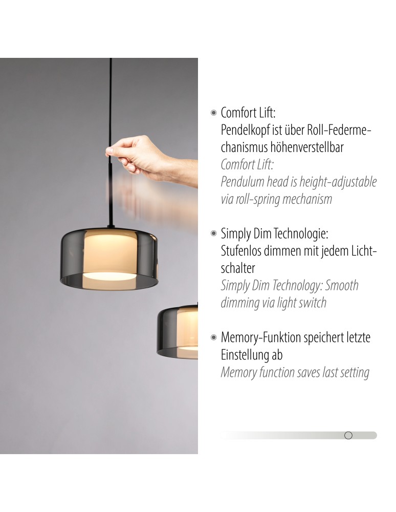 Paul Neuhaus Rika Lampa Wisząca Czarny/Smoky 2115-18