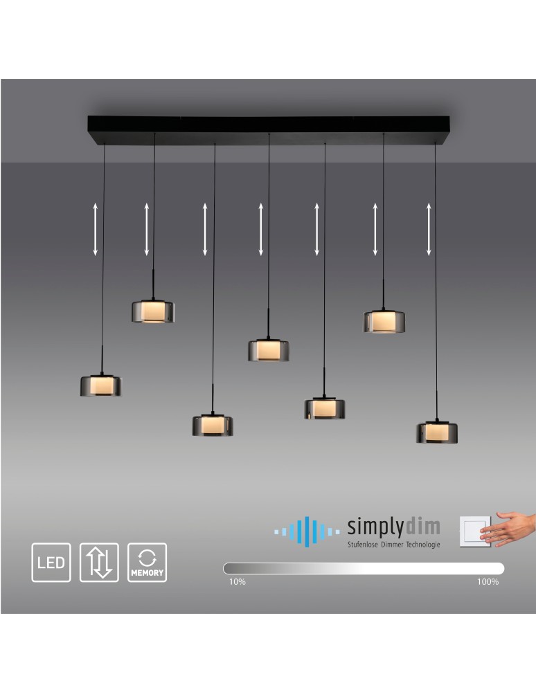 Paul Neuhaus Rika Lampa Wisząca Czarny/Smoky 2115-18