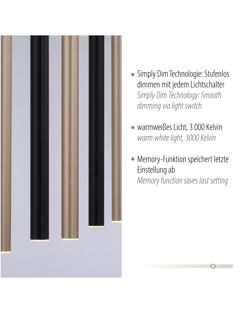 Paul Neuhaus Flute Lampa Wisząca Matowy Mosiądz/Czarny 2117-18