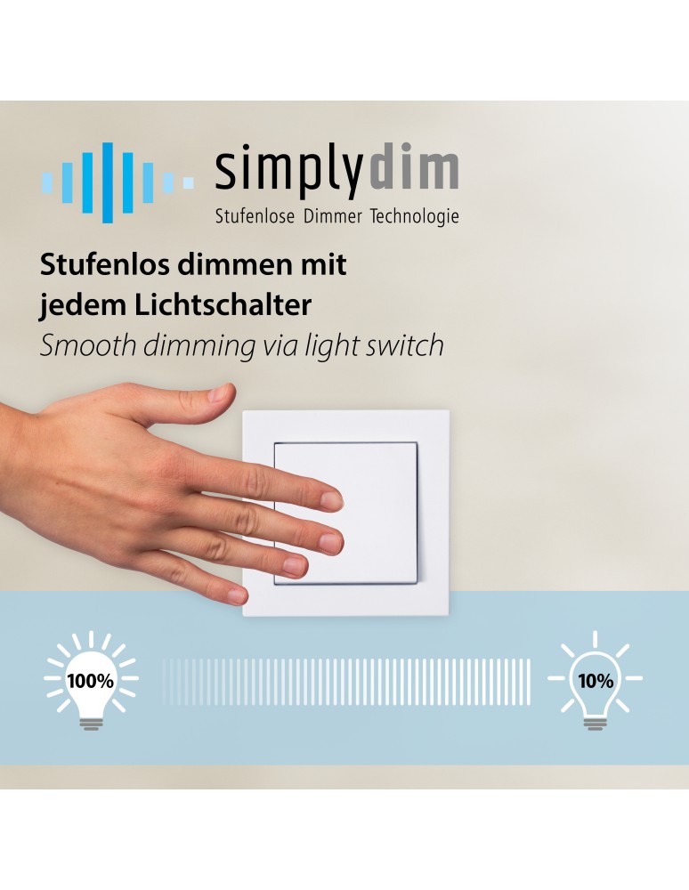 Paul Neuhaus Flute Lampa Wisząca Matowy Mosiądz/Czarny 2117-18