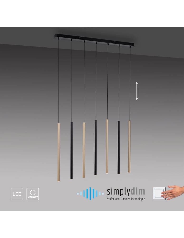Paul Neuhaus Flute Lampa Wisząca Matowy Mosiądz/Czarny 2117-18