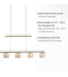 Paul Neuhaus Hydra Lampa Wisząca Matowy Mosiądz 2209-60