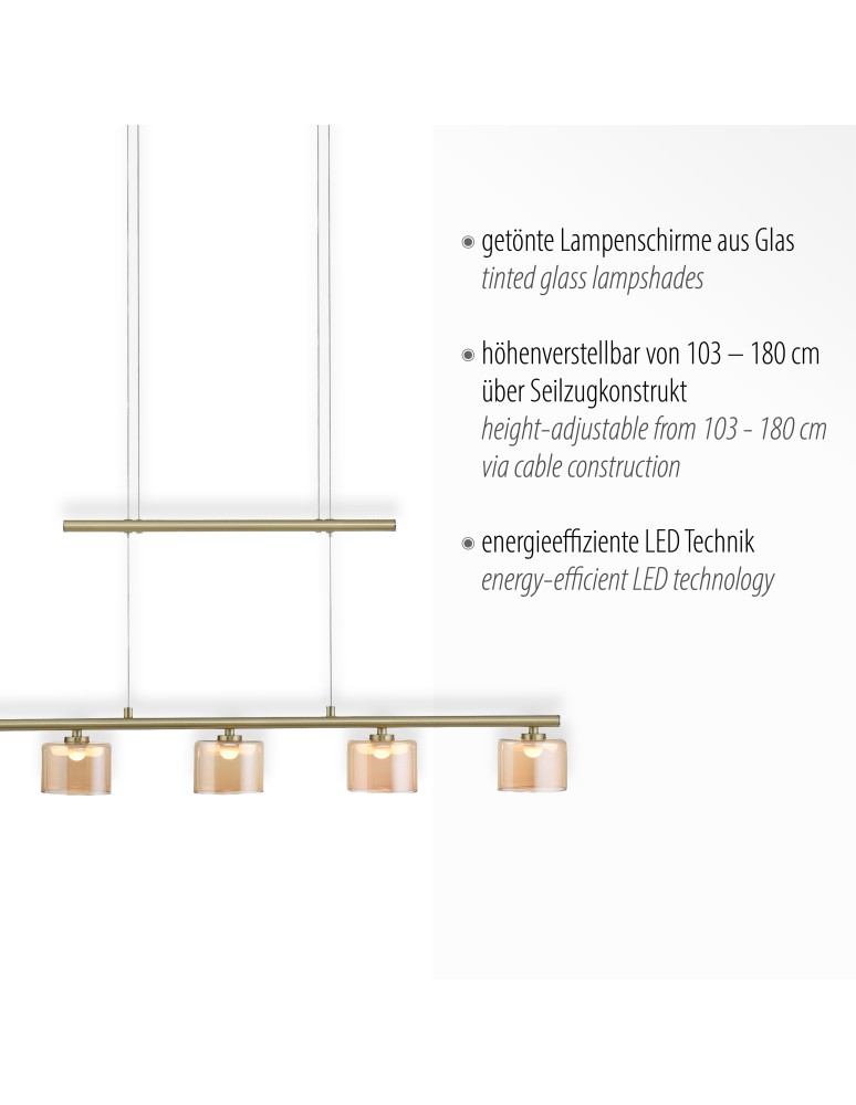 Paul Neuhaus Hydra Lampa Wisząca Matowy Mosiądz 2209-60