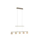 Paul Neuhaus Hydra Lampa Wisząca Matowy Mosiądz 2209-60