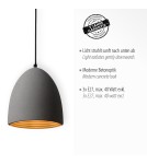 Paul Neuhaus Eton Lampa Wisząca Szary/Czarny 2233-22